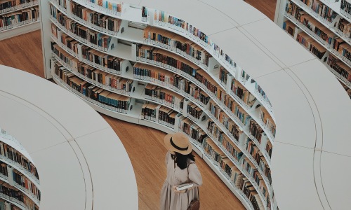Bookstores to Delight All Readers and Literary Tastes Cover Image