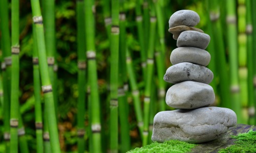 japanese gardens in seattle