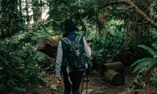 Best Hiking Trails in Seattle For You To Check Out This Weekend Cover Image